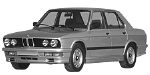 BMW E28 B254B Fault Code