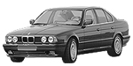 BMW E34 B254B Fault Code